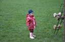 DSC_8507.jpg