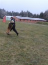 043.jpg