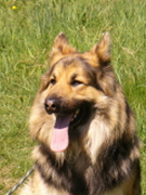 Ben 