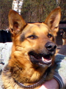 Dan 